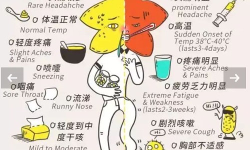 黄芪夏天吃好吗-夏季可以吃黄芪颗粒么网 :分享夏季可以吃黄芪颗粒么嘛-夏天可以吃黄芪吗知识